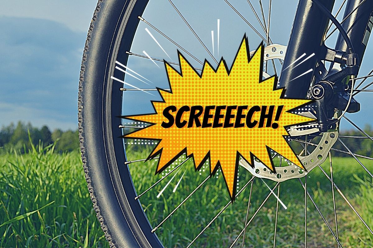 Squeaky Bike Brakes How to Fix (Rim & Disc) Bike Push