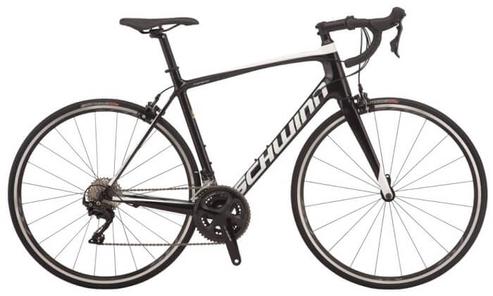 Schwinn Fastback Carbon
