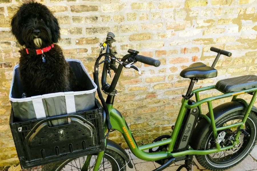 dog in a front basket crate on a green e-bike