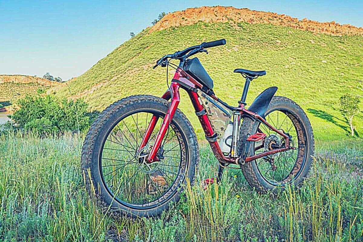 Best Fat Bike Fenders And Mudguards