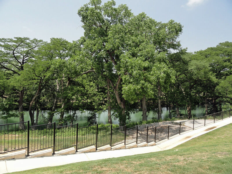 Medina River Greenway Flickr Image