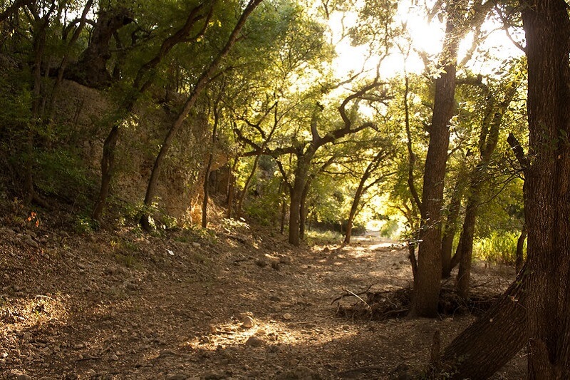 Salado Creek Greenway Flickr Image