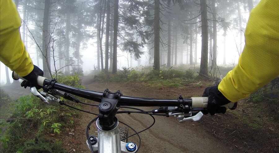 Riding bike through a forest - Long distance biking hurdles