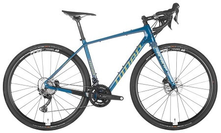 Niner RLT 9 RDO 2X 4-STAR BIKE 2021 in Baja Bleue/Sand color