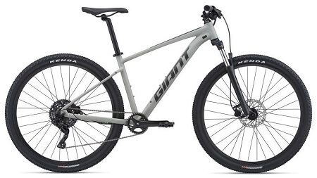 Giant Talon 2 Hardtail 29er Mountain Bike in Concrete color