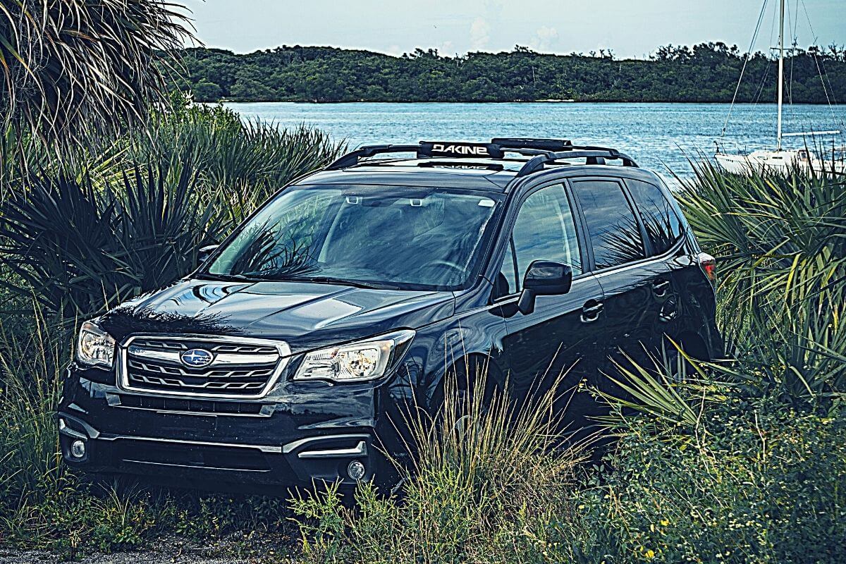 Best Bike Rack For Subaru Forester