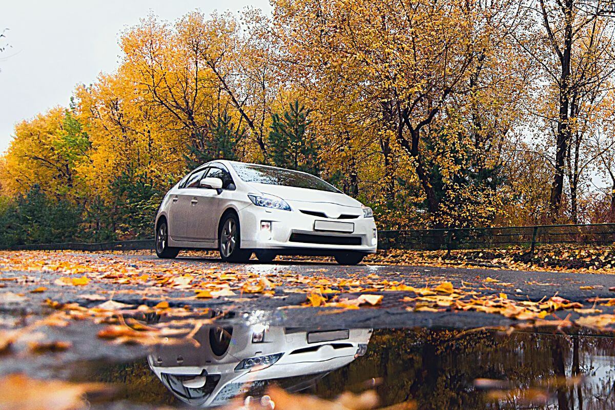 Best Bike Rack For A Toyota Prius