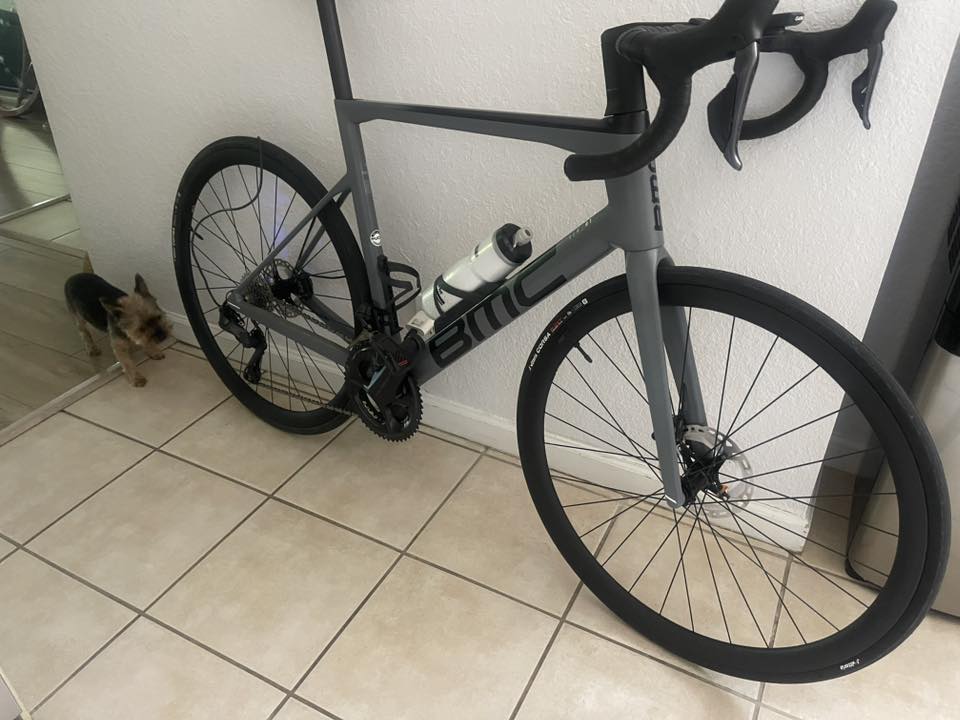 Carbon bike with cute terrier