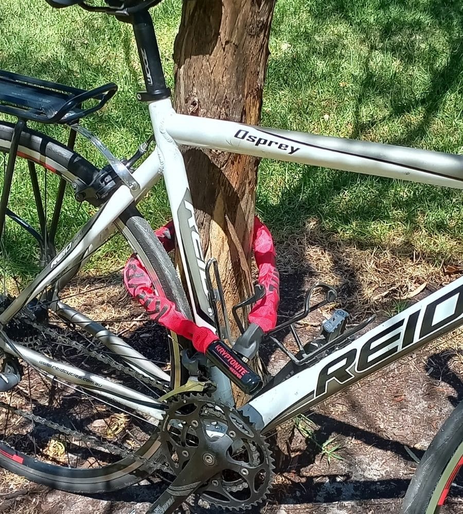 Bicycle locked with a Kryptonite red lock to a tree