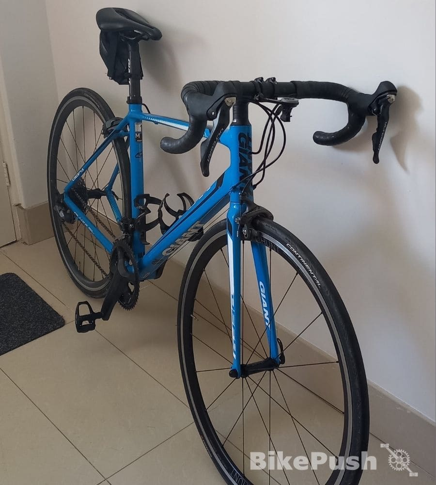 Blue Giant Defy road bike leaning against a wall indoors