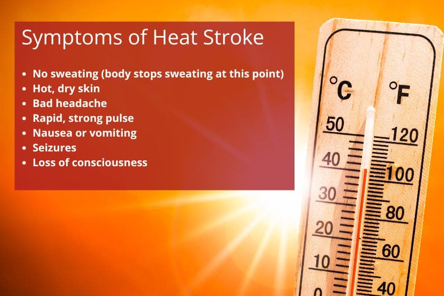 symptoms of heat stroke