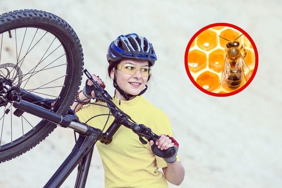 Can Honey Sweeten the Deal for Cyclists